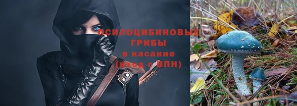 круглые Алексин